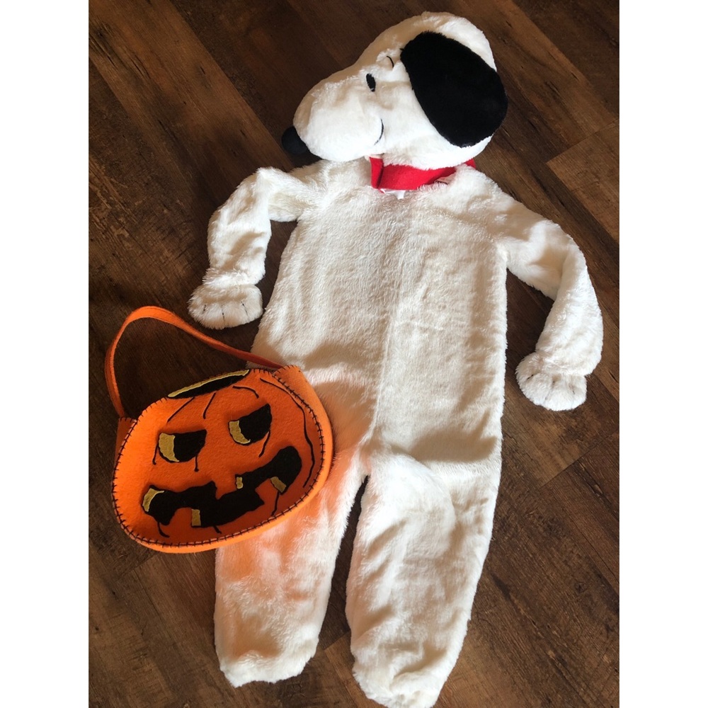 Pottery Barn snoopy Halloween Costume